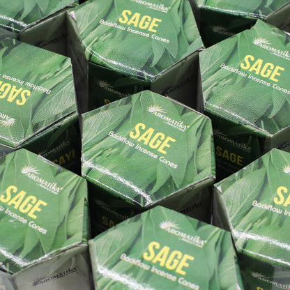 Pack of 10 Masala Backflow Incense - Sage