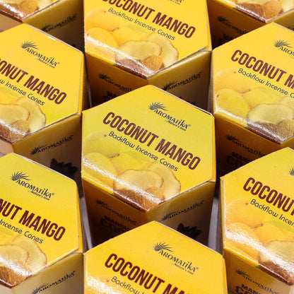 Pack of 10 Masala Backflow Incense - Coconut & Mango
