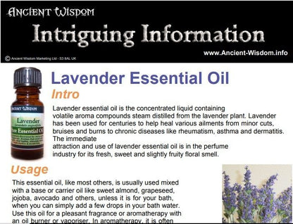 Lavender Essential Oil Info