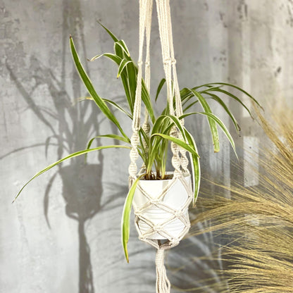 Macrame Pot Holder - Large Pot Holder - Extra Long