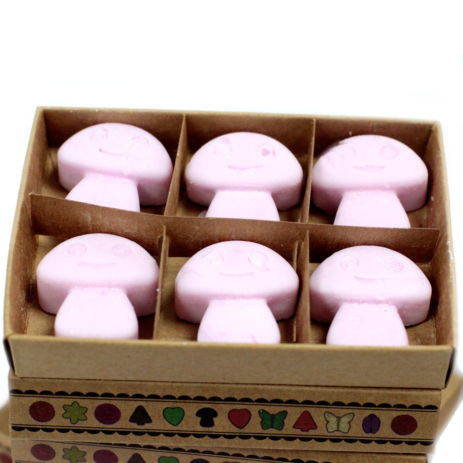 Box of 6 Wax Melts – Ylang Ylang
